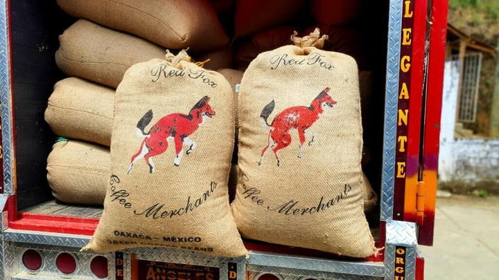 Where Does Raw Coffee Come From And How Does it Get To the Mikko Roastery?