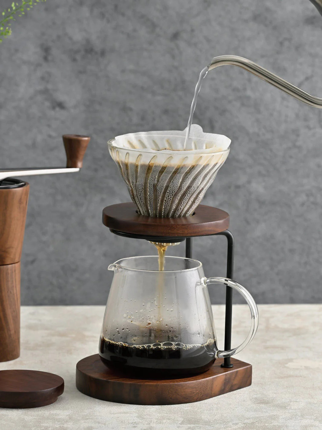 HARIO Drip Stand (Walnut)