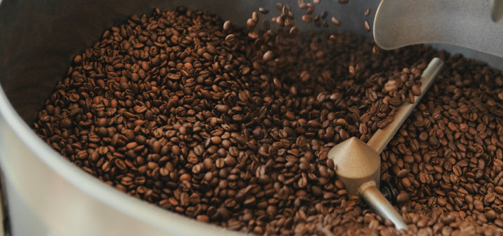 freshly roasted specialty coffee beans in a Loring roasting machine at Mikko