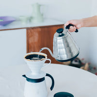 HARIO V60-02 Dripper (Plastique)